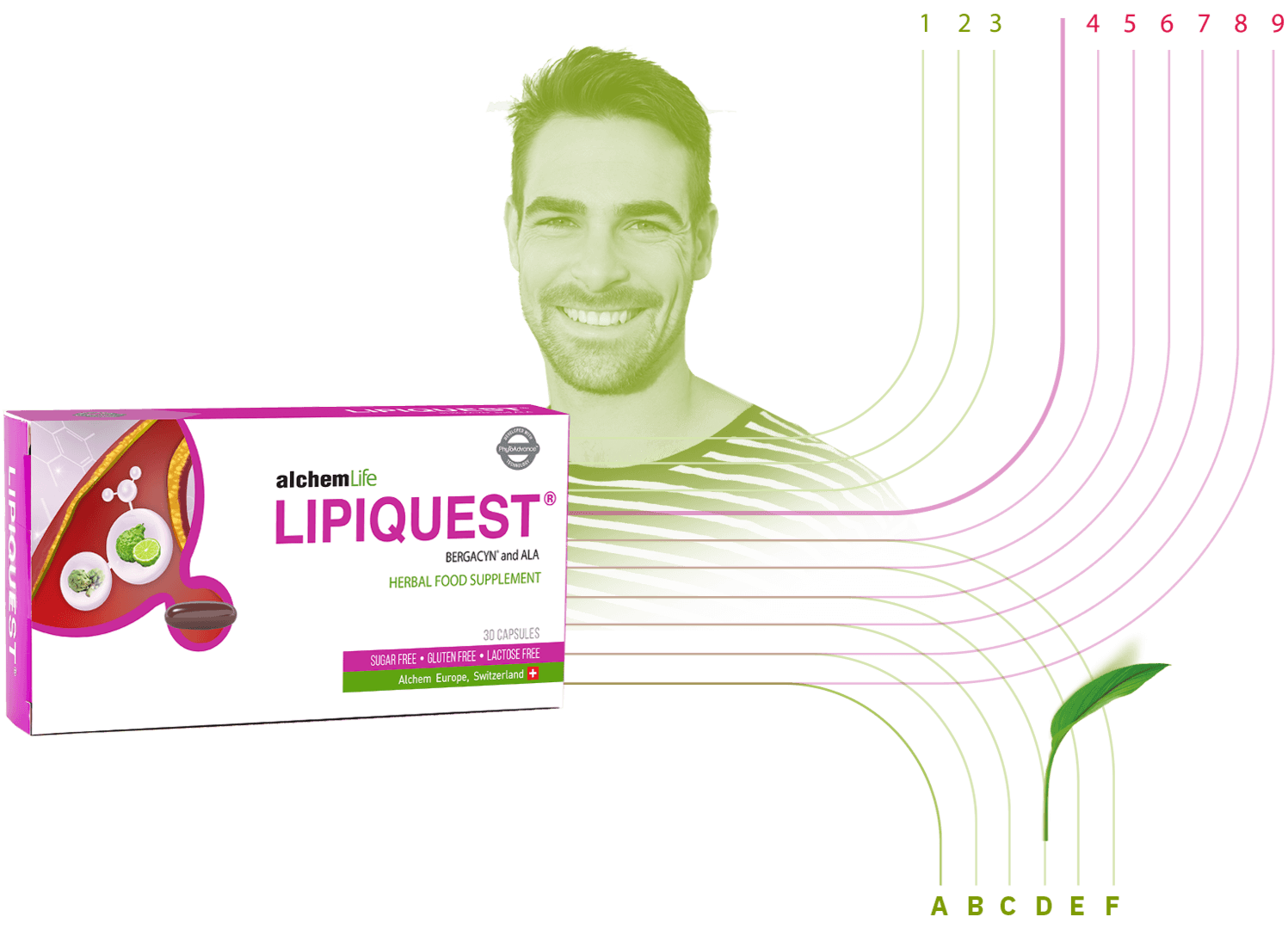 lipiquest