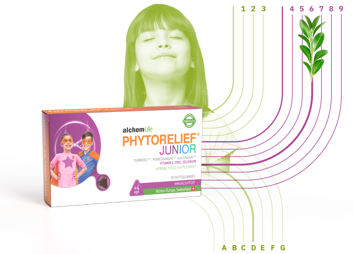 phytorelief