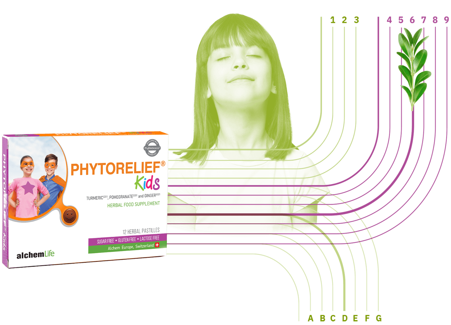 phytorelief