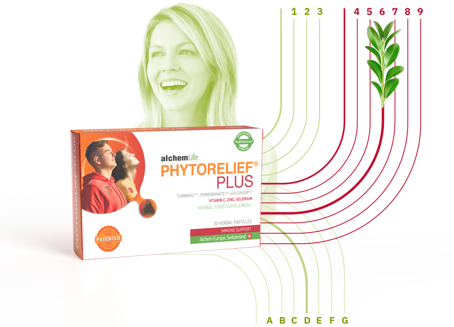 phytorelief