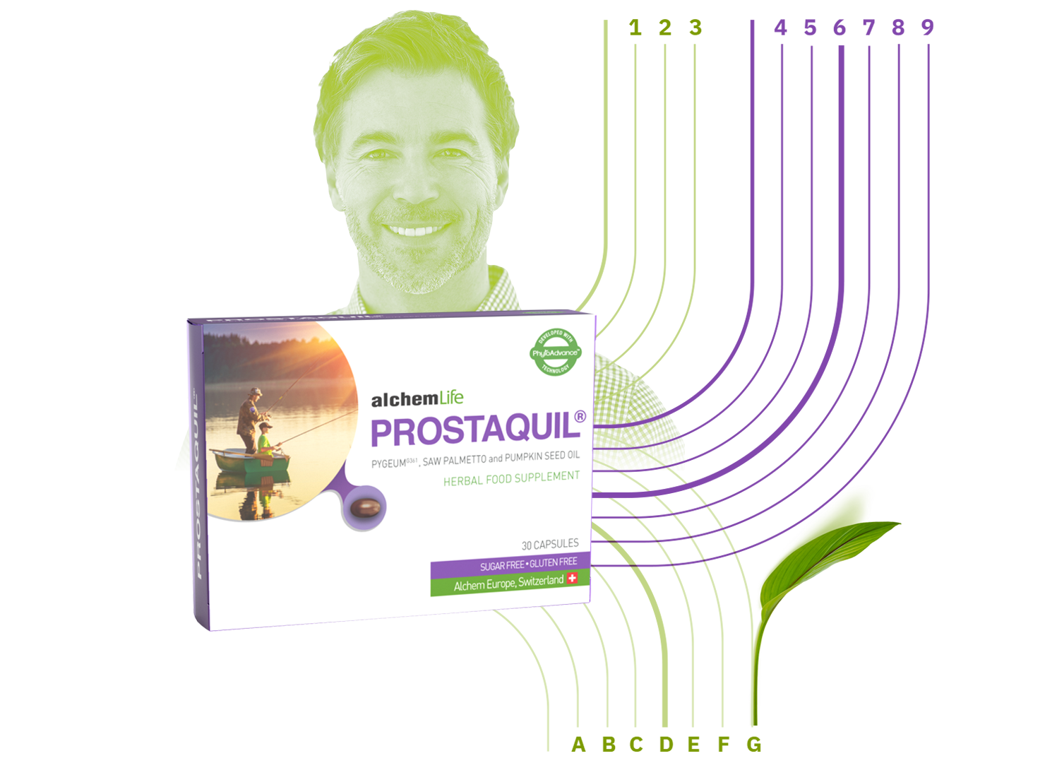 Prostaquil